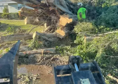 Affordable Tree Service