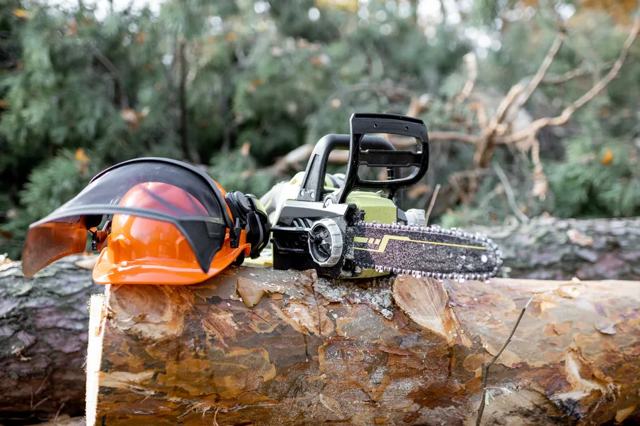 Quality Tree Cutting Walker, LA Quality Tree Cutting Walker, LA