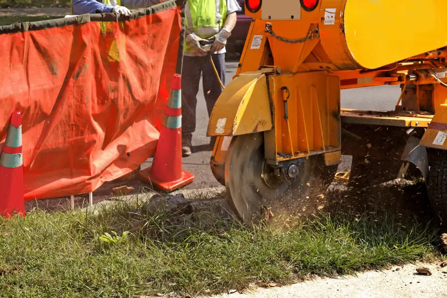 Reasons To Schedule Professional Stump Grinding Before Fall Season Walker, LA Reasons To Schedule Professional Stump Grinding Before Fall Season Walker, LA