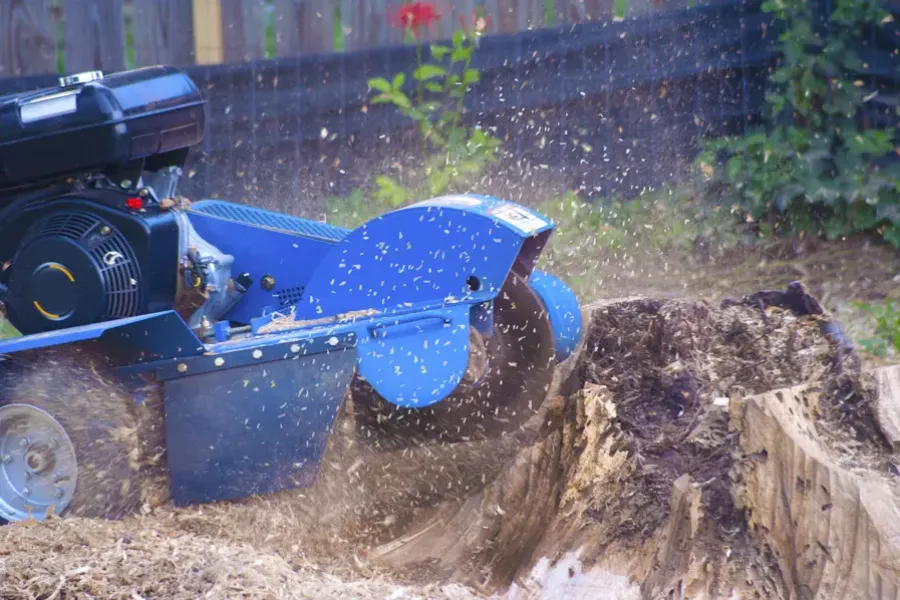 Reasons To Schedule Professional Stump Grinding Before Fall Season in Walker, LA Reasons To Schedule Professional Stump Grinding Before Fall Season in Walker, LA