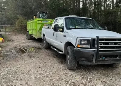 Reliable Arborist