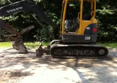 Reliable Arborist