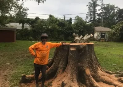 Reliable Arborist