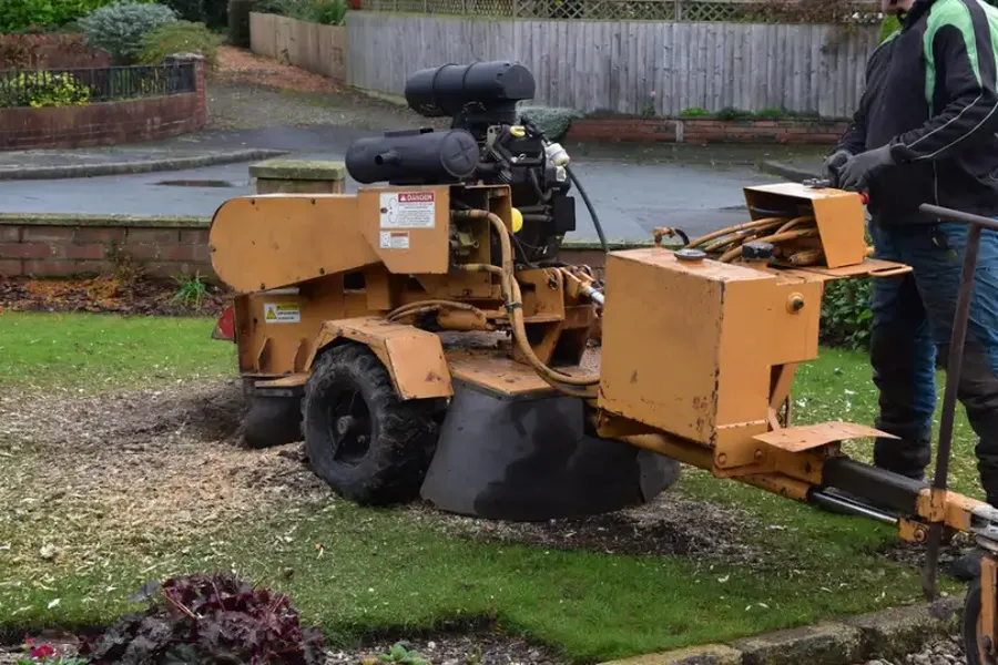 Reliable Stump Grinding Walker, LA