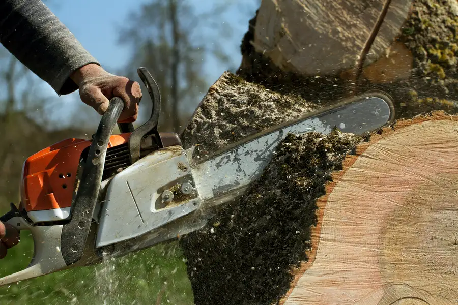 Reputable Tree Stump Removal Walker, LA Reputable Tree Stump Removal Walker, LA