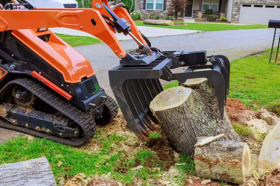 Tree Stump Removal
