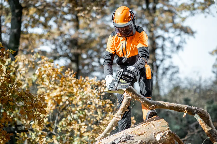 Why Hiring Professionals Matters For Tree Cutting Safety Walker, LA Why Hiring Professionals Matters For Tree Cutting Safety Walker, LA