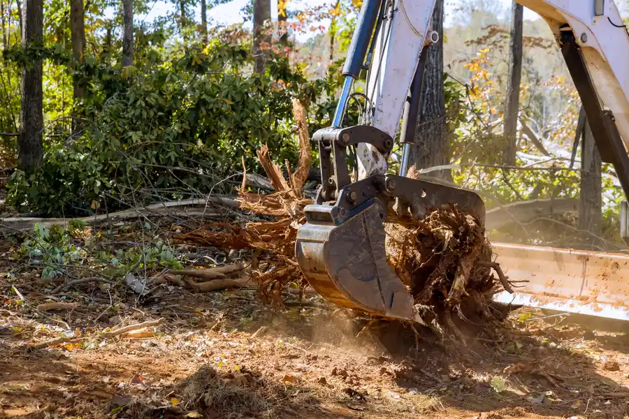 Why Tree Stump Removal Is Essential For A Safe And Clean Property in Walker, LA